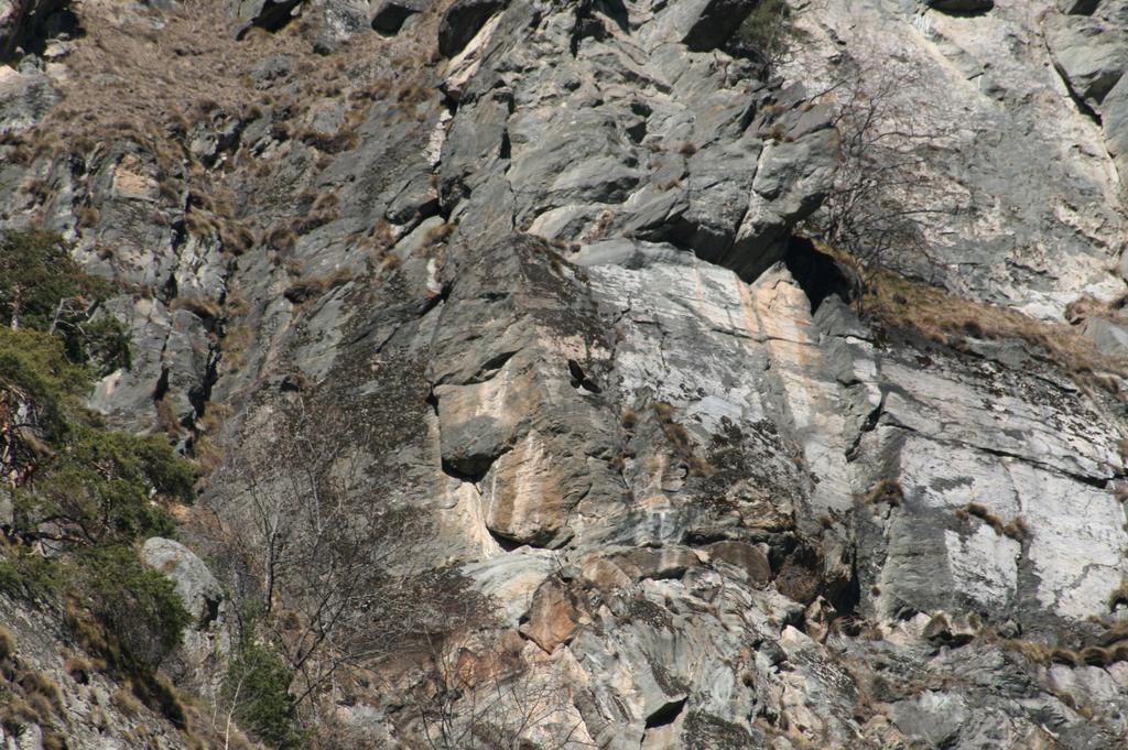 Albergo La Grolla Antey-Saint-André Εξωτερικό φωτογραφία